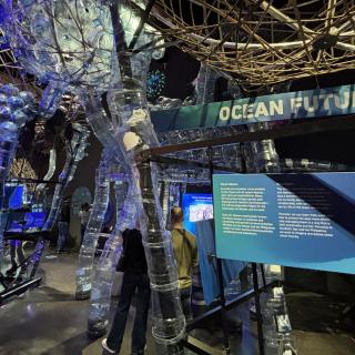 Ocean Future
